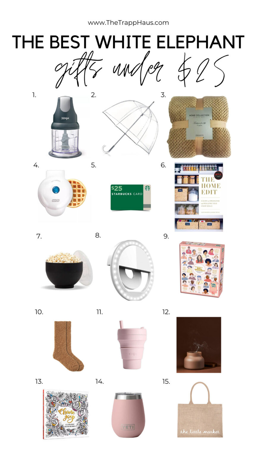 the best white elephant gifts under $25
