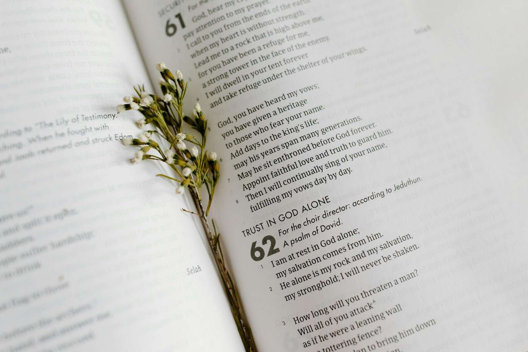 Bible verses about feeling lost